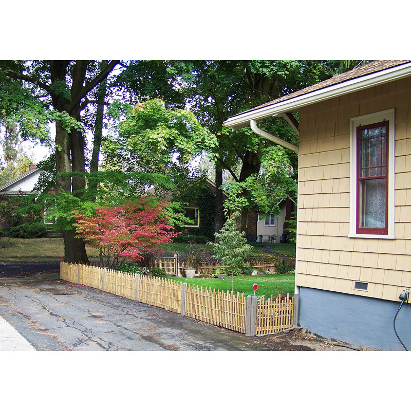 MGP 5 ft. W Bamboo Fencing & Reviews Wayfair